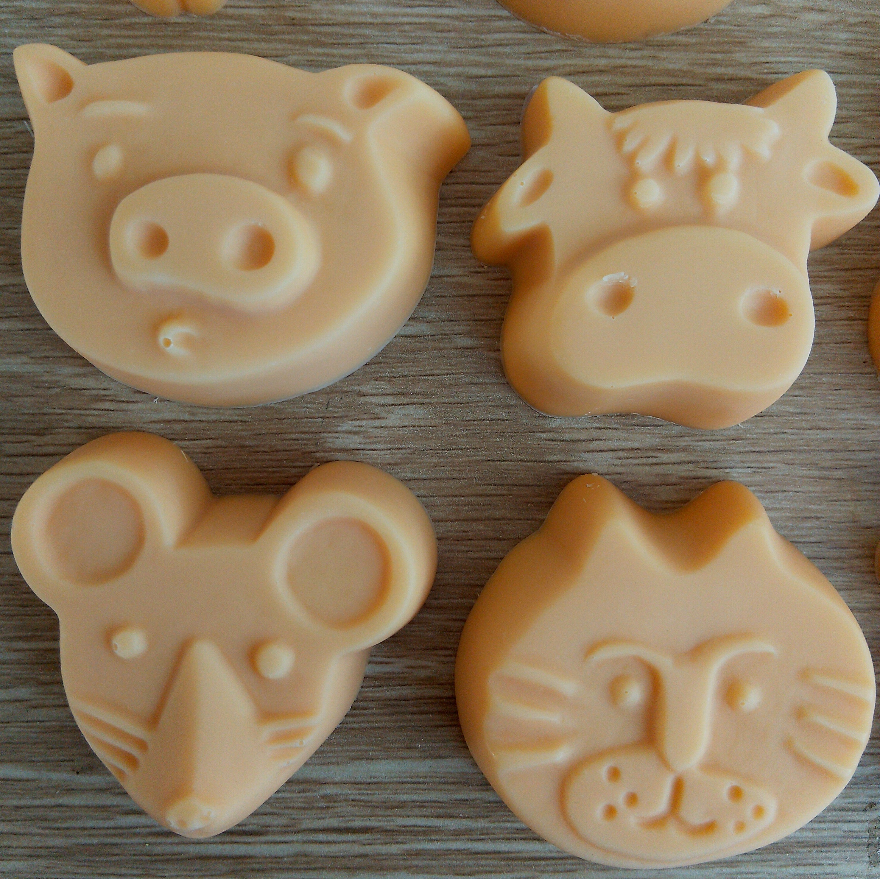 Little Creatures