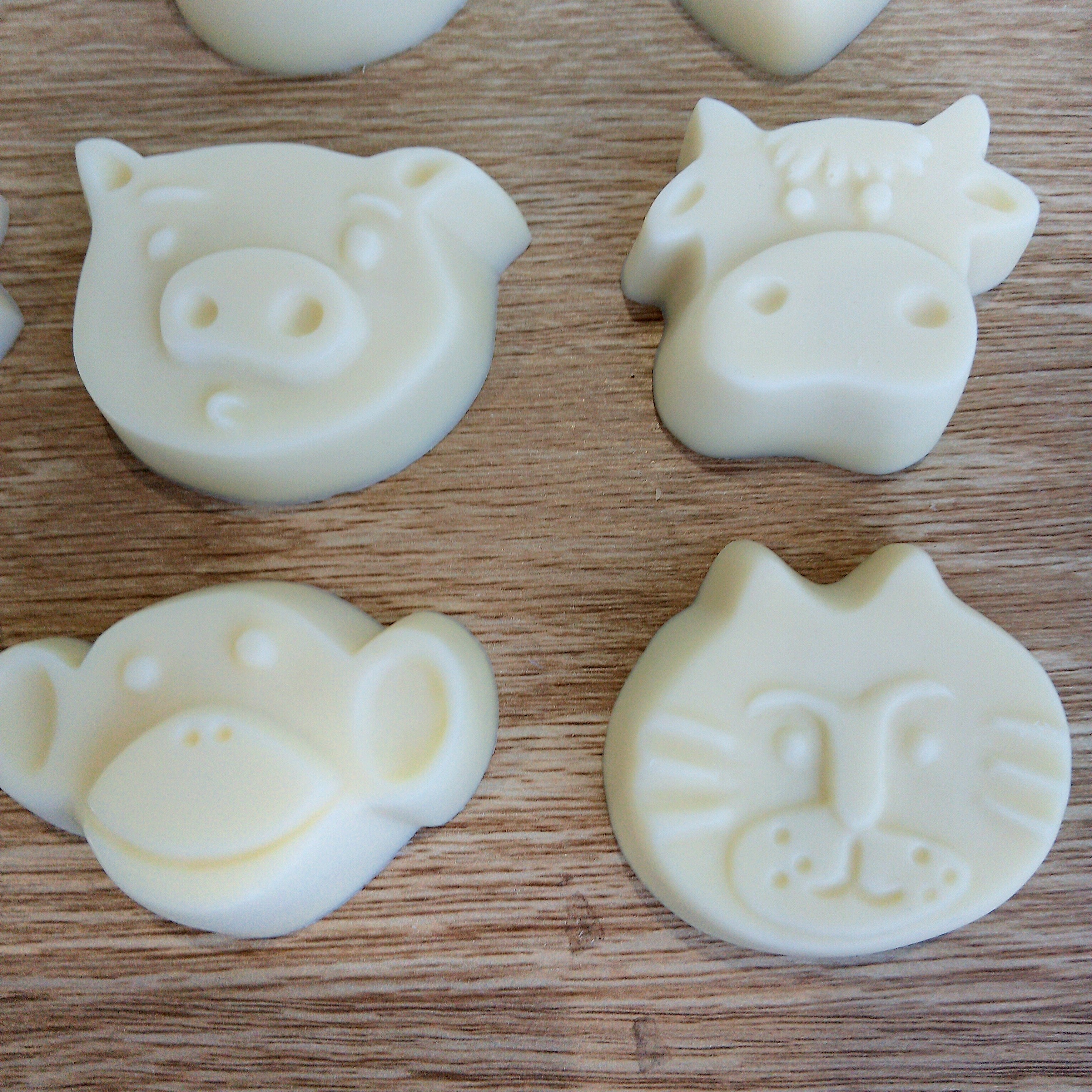 Little Creatures