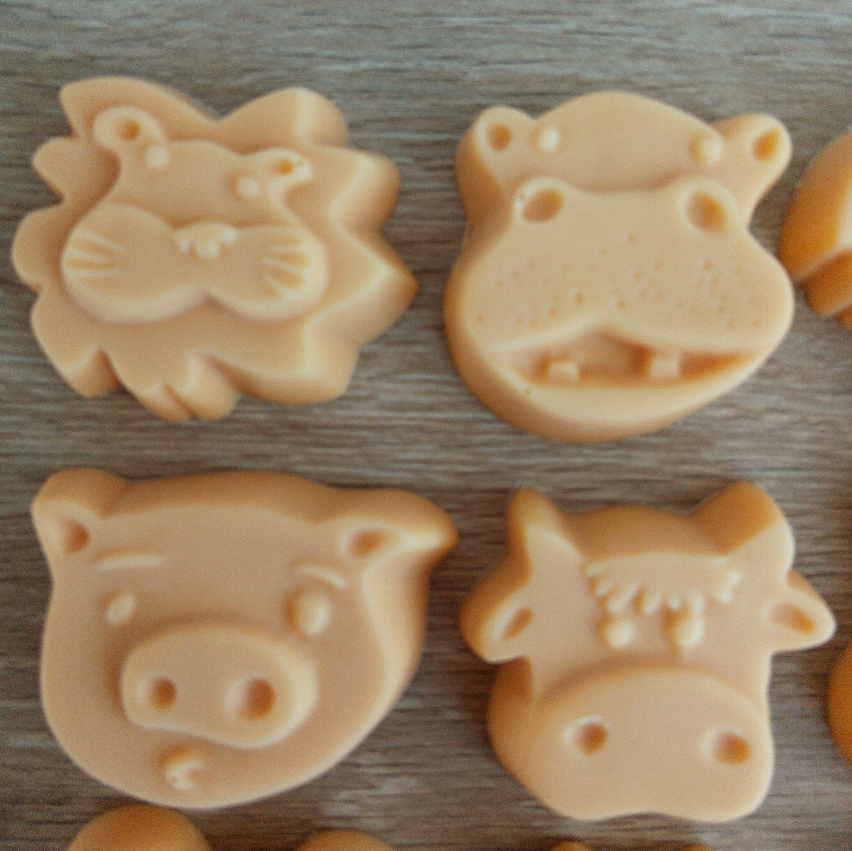Little Creatures