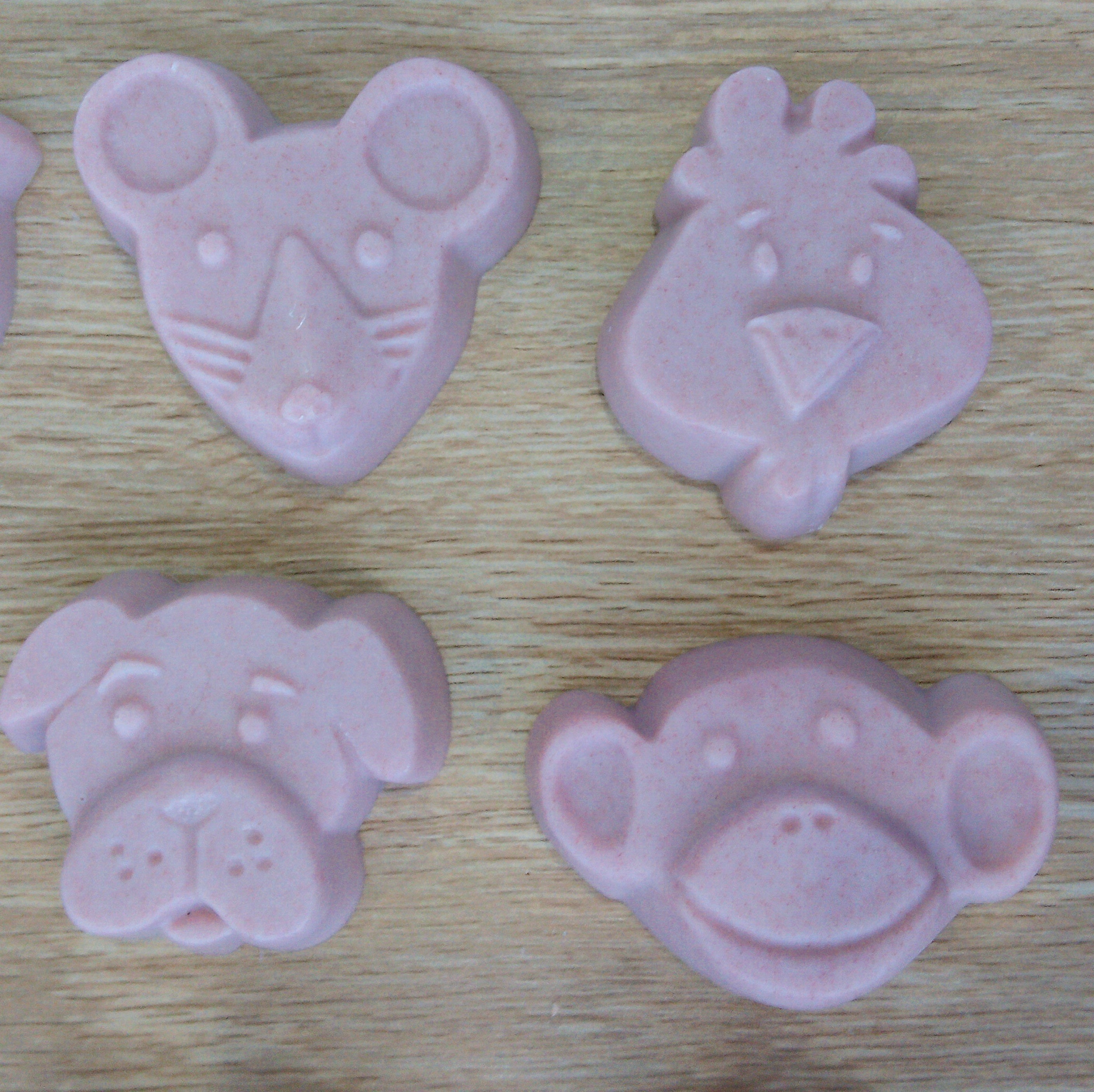 Little Creatures