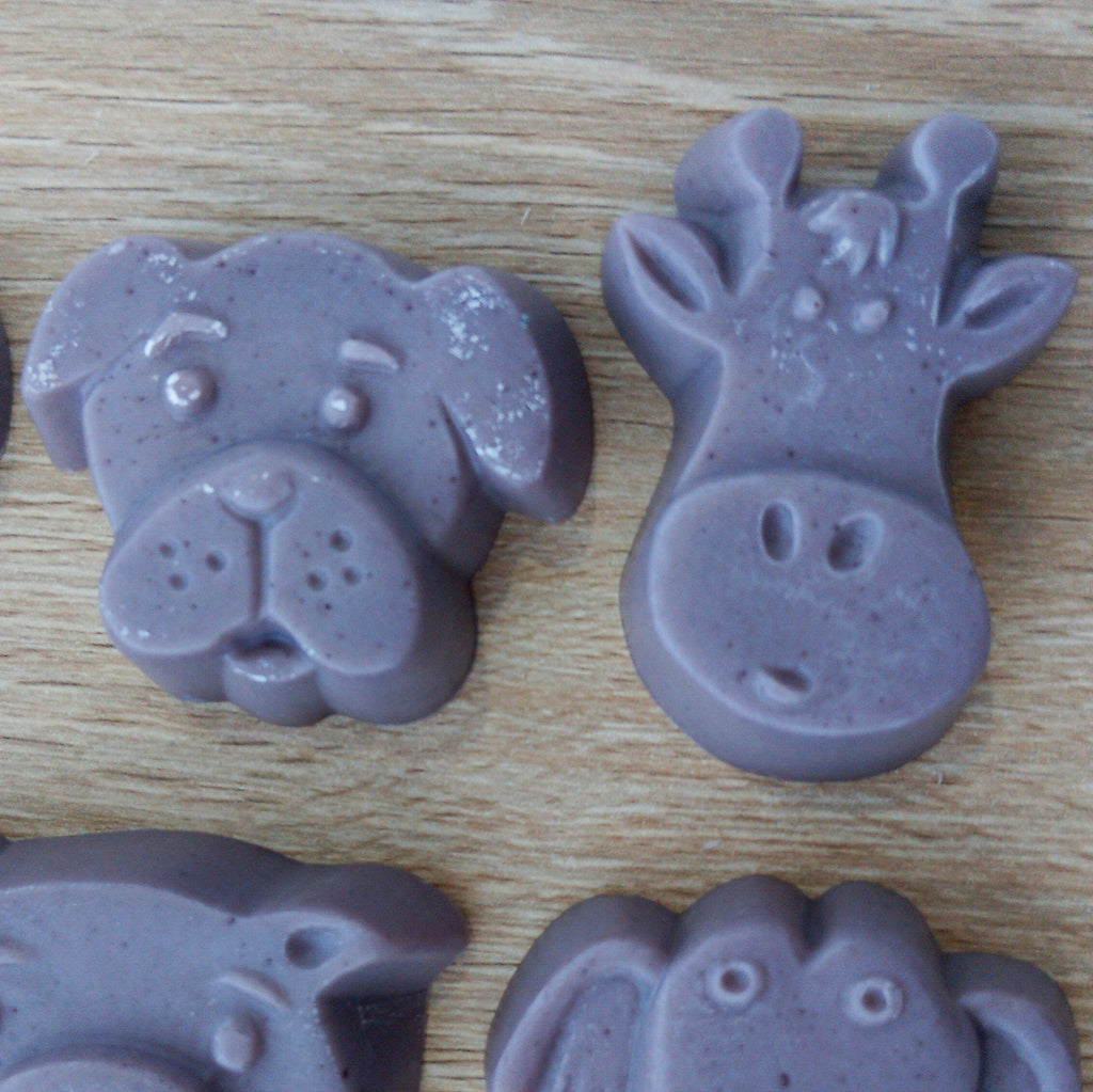 Little Creatures