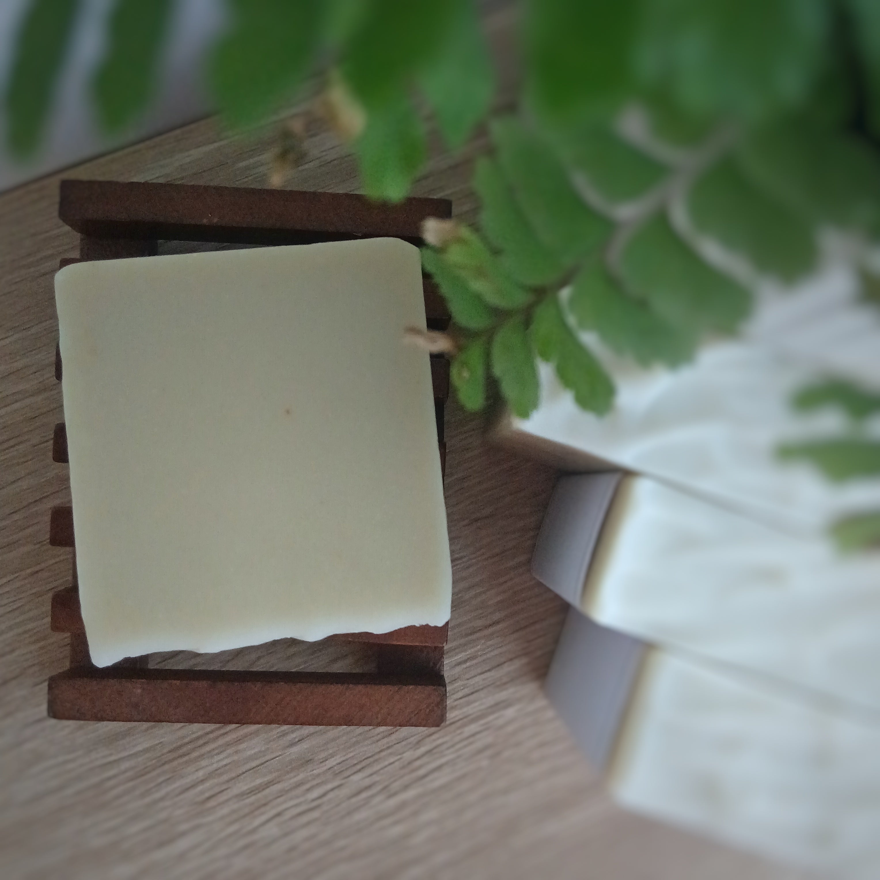 Timber Soap Rest