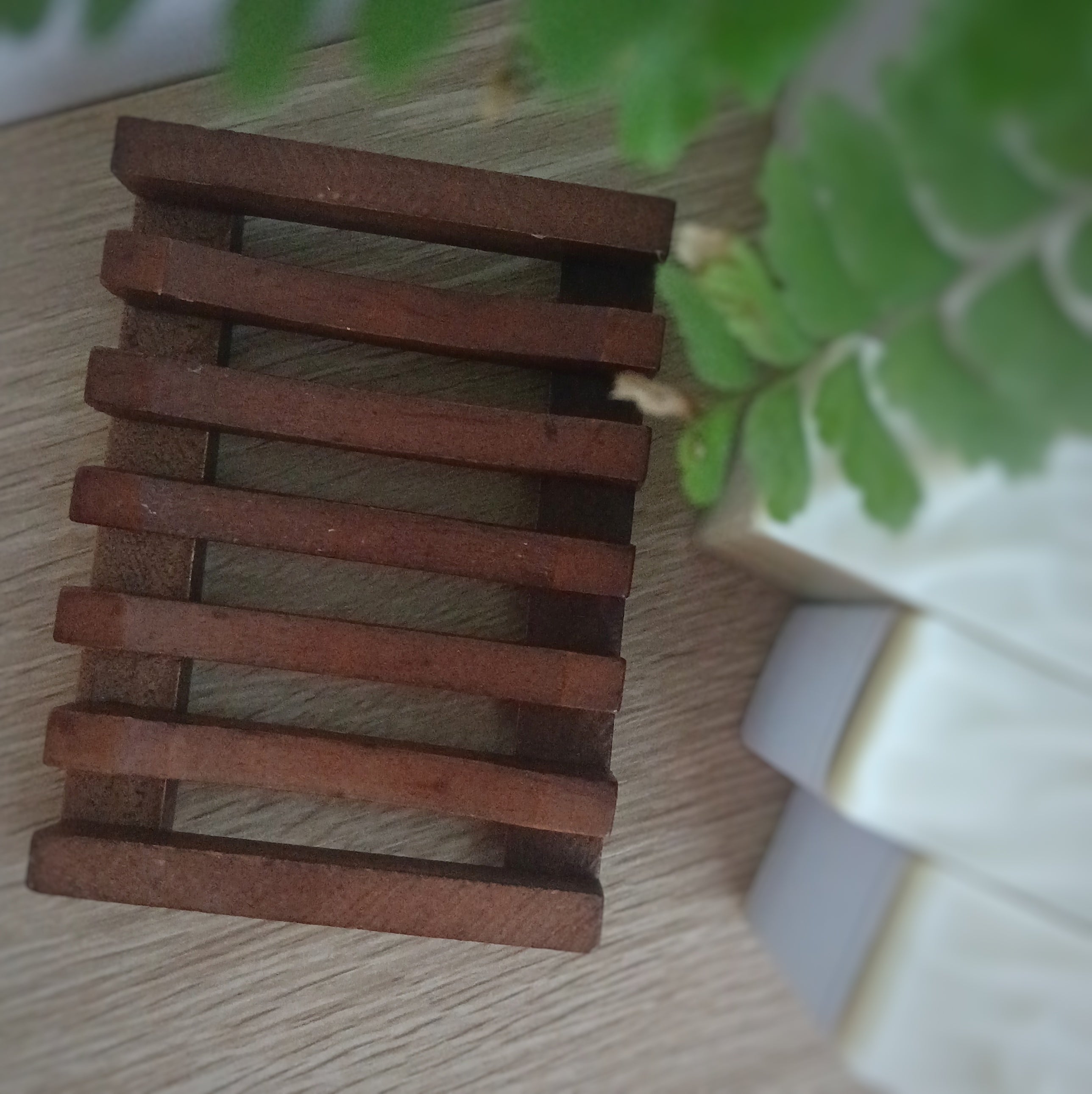 Timber Soap Rest