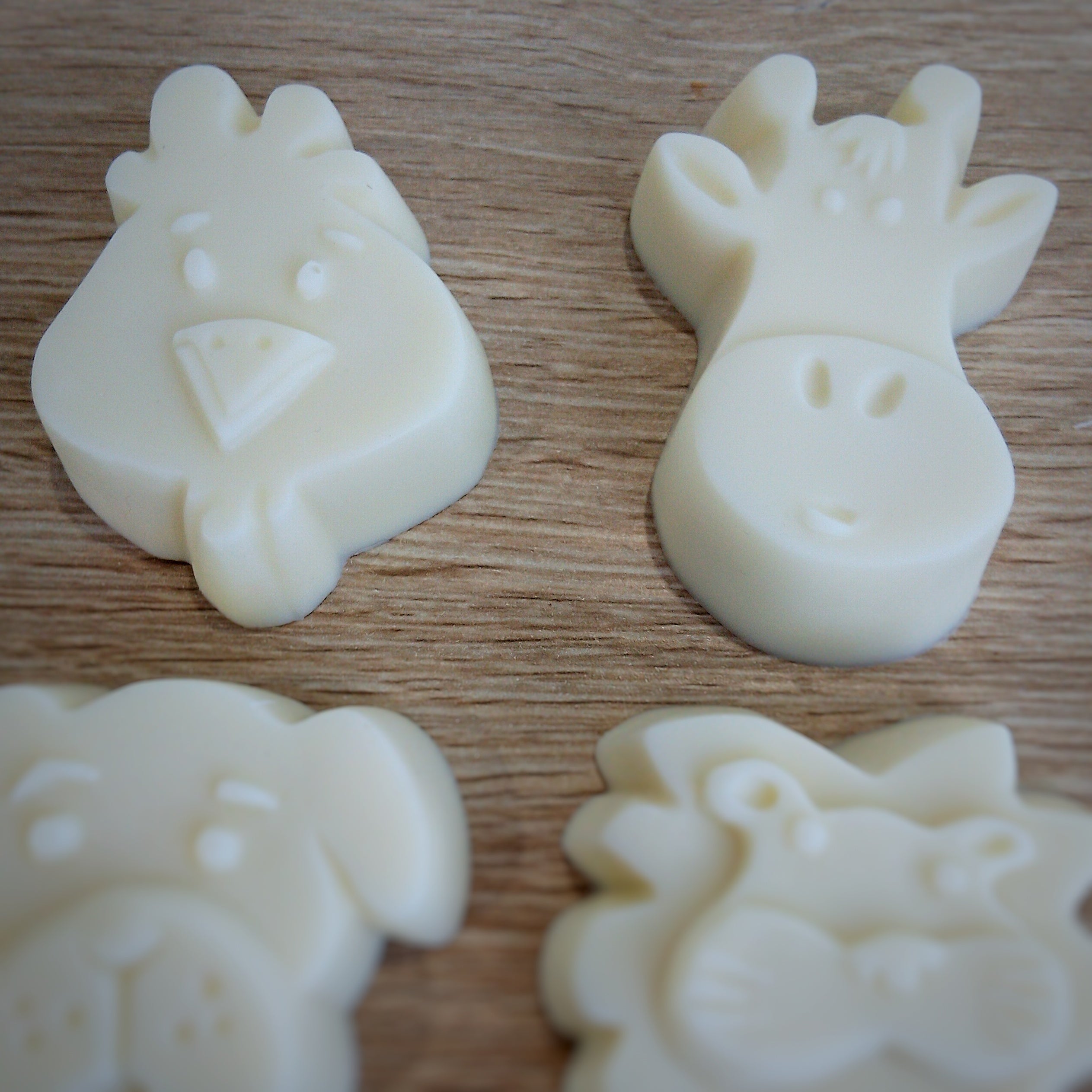 Little Creatures