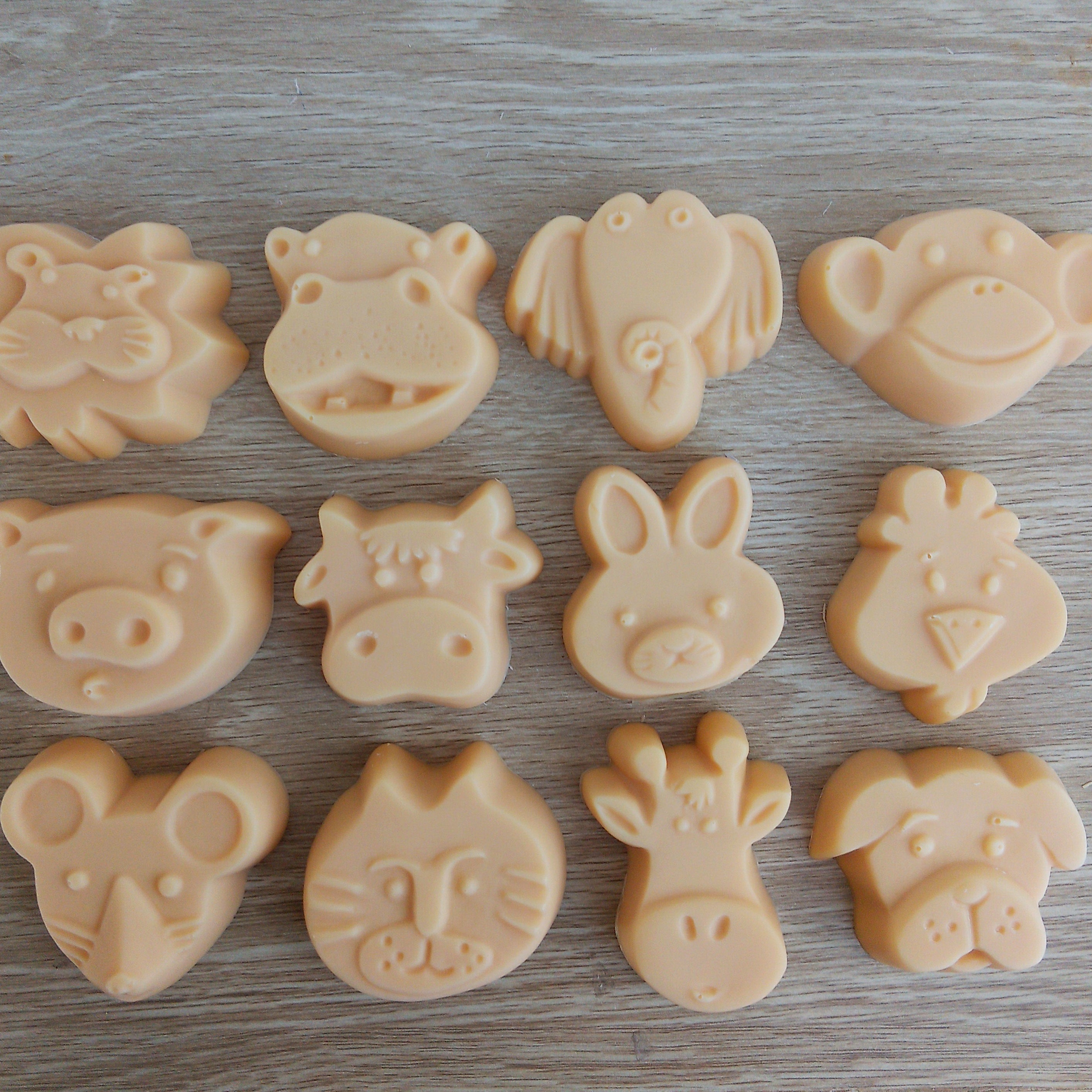 Little Creatures