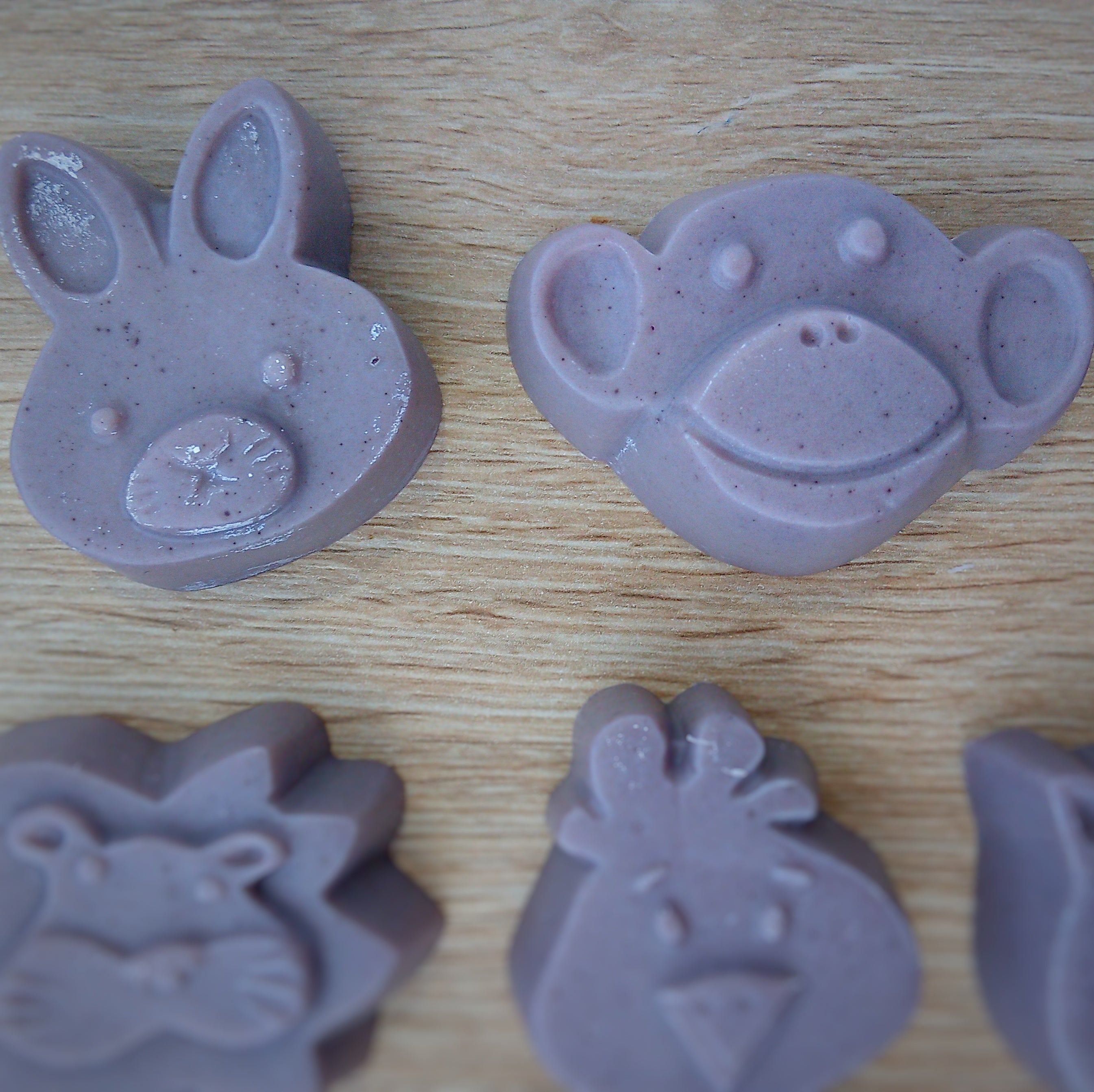 Little Creatures